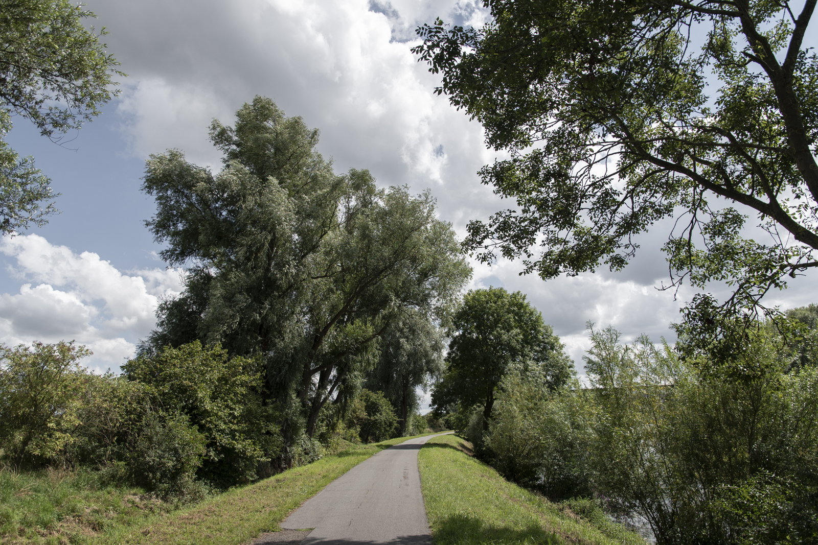 Trekweg langs de Schelde