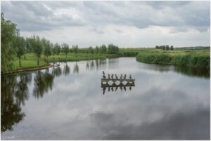 Reynaert de vos in de Oudemanskreek